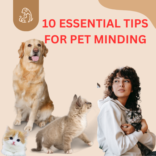 10 Essential Tips for Pet Minding