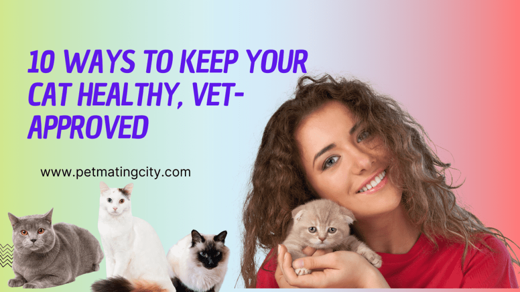 10 Ways to Keep Your Cat Healthy, Vet-Approved