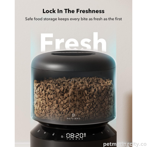 Automatic cat feeders never miss a meal on time for the busy pet owner