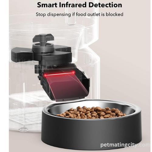 Automatic cat feeders never miss a meal on time for the busy pet owner