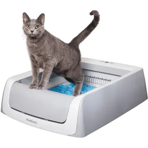 Get Clean Paws with ScoopFree's Litterbox Solution