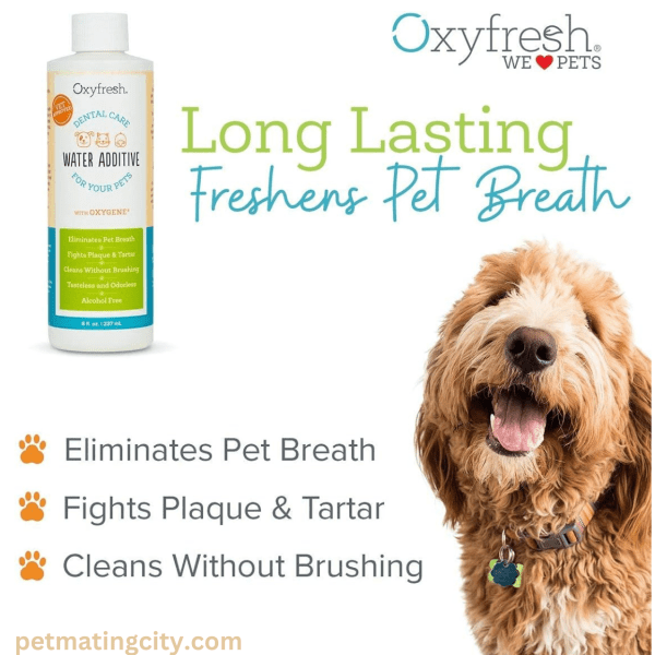 Eliminate Bad Dog Breath & Cat Bad Breath