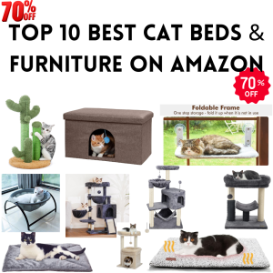 10 best cat beds & furniture on amazon (1)
