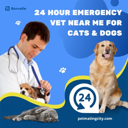 24 hour emergency vet near me for cats & dogs