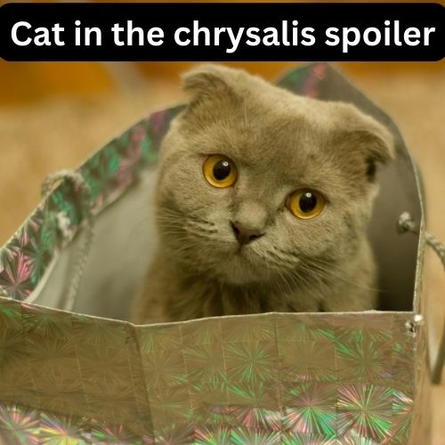 Cat in the chrysalis spoiler
