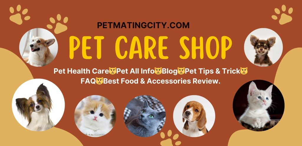 Pet All Info I Health Care I Products Review I Pet FAQ